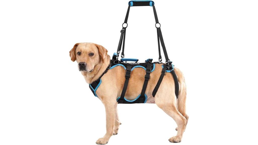 large dog lift harness