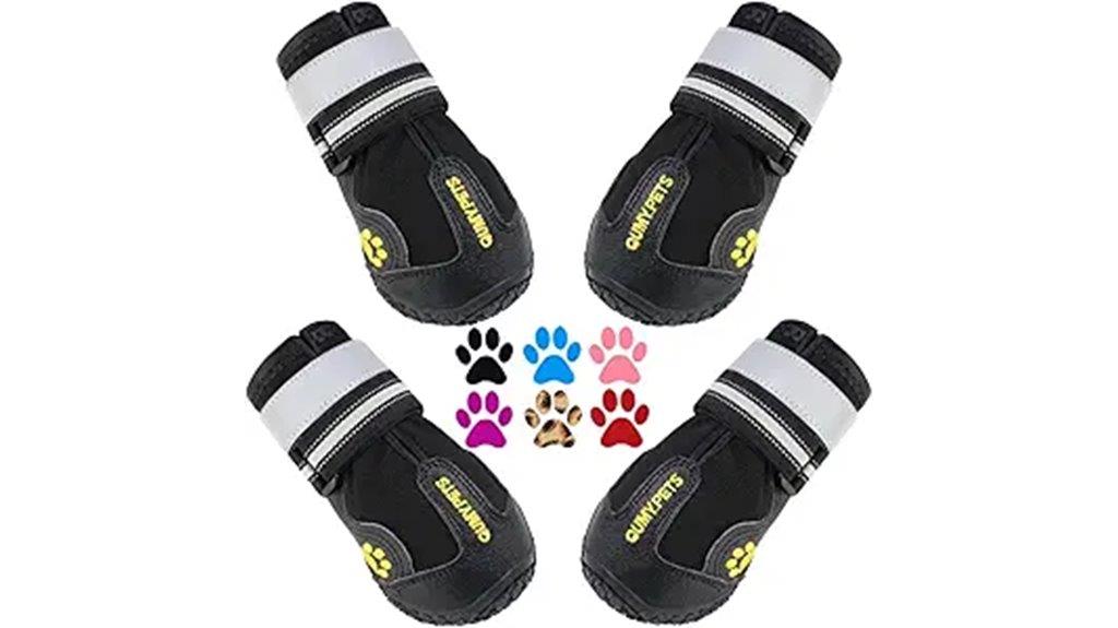 large dog shoe brand
