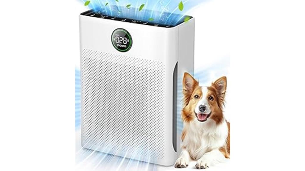 large home air purifier