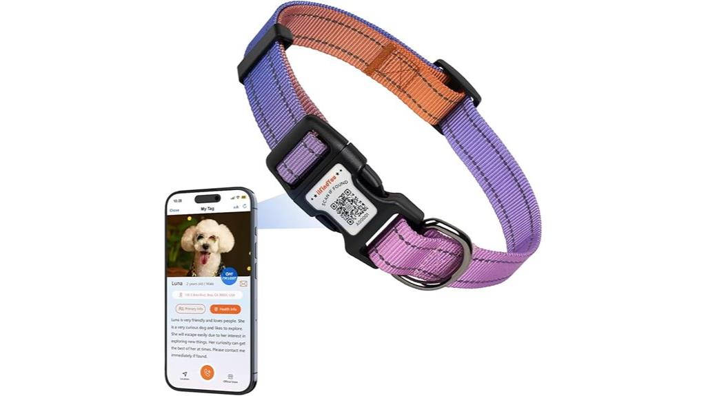 large pink orange reflective collar
