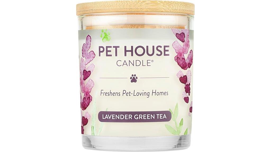 lavender soy pet candle