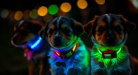 led puppy collar lights