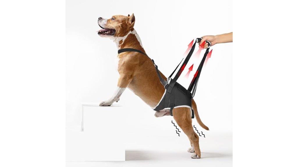 medium dog hind leg sling