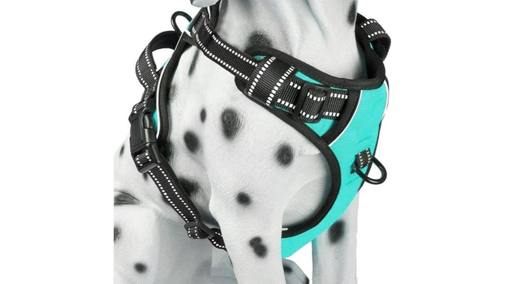 mint blue reflective harness