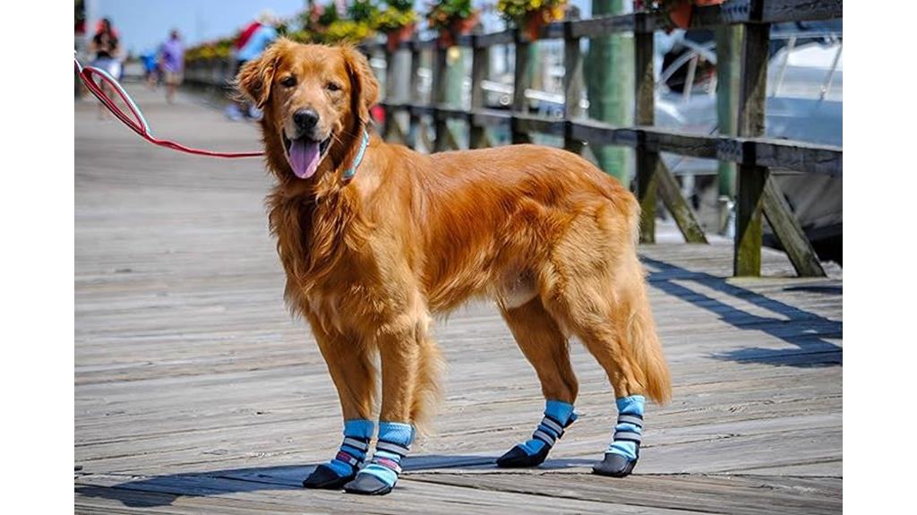 neoprene blue dog boots