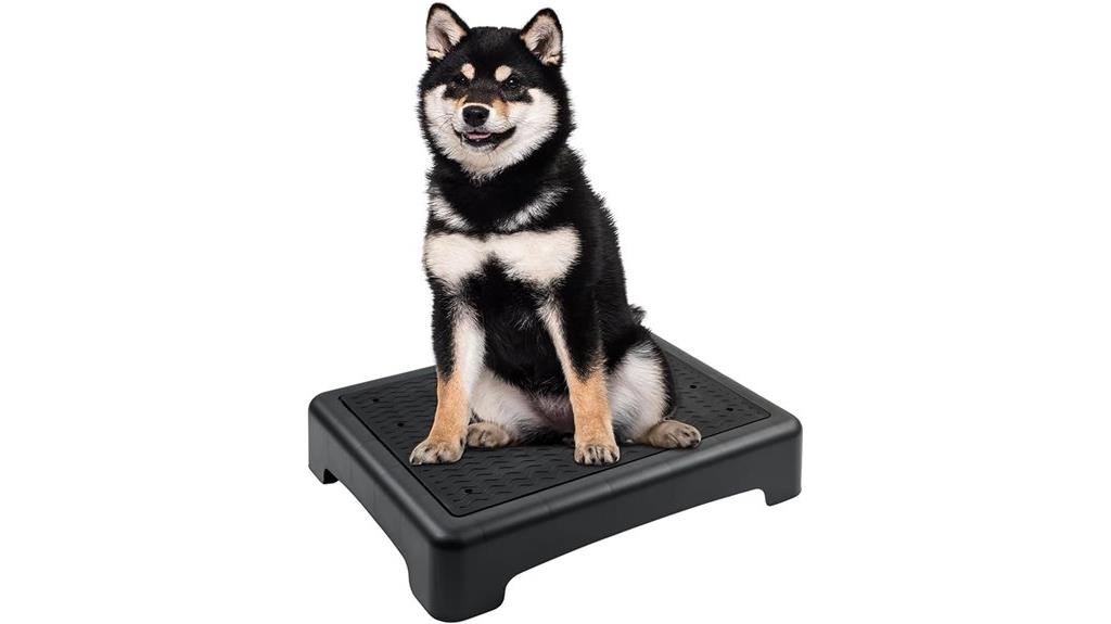 non slip dog training platform