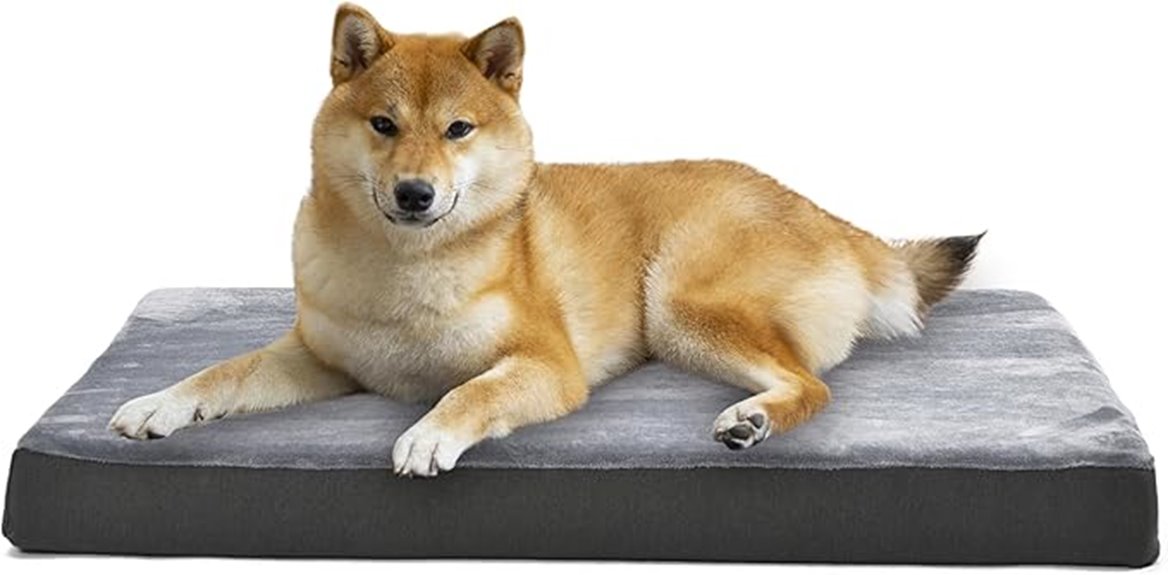 orthopedic grey dog bed