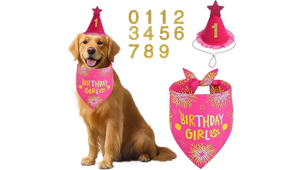 pet birthday bandana set