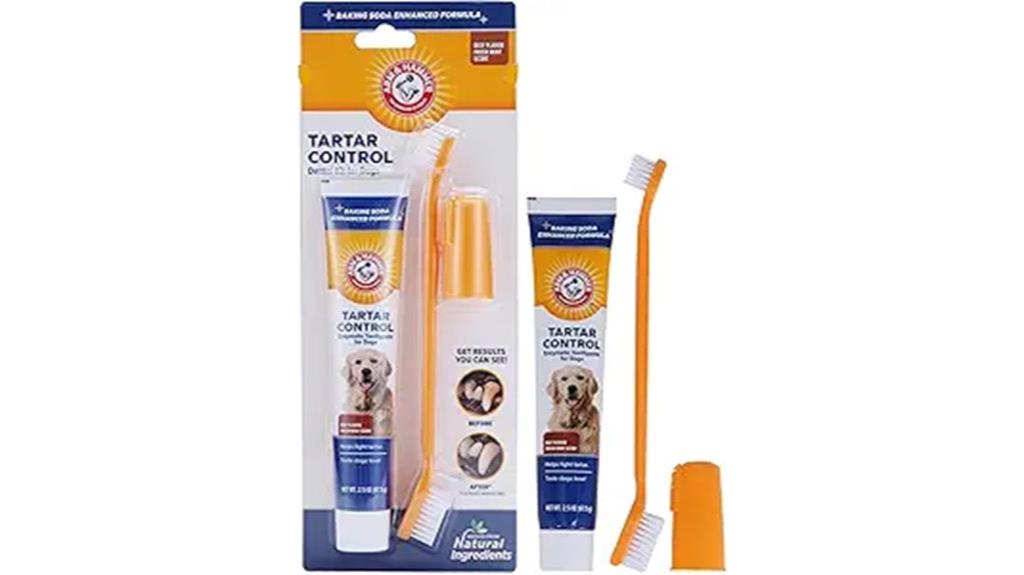 pet dental care kit