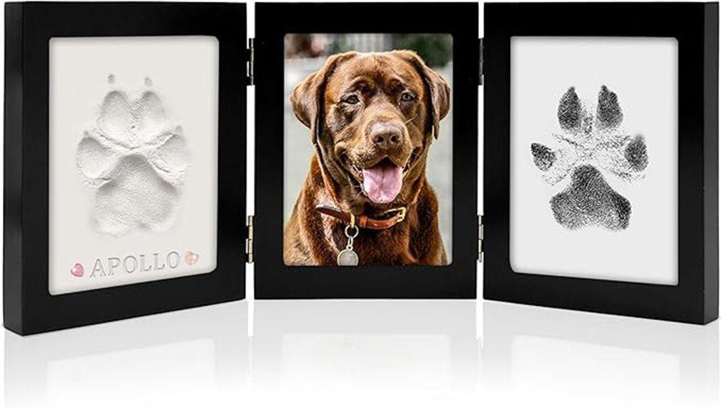 pet paw print kit