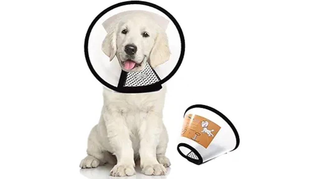 pet recovery collar options