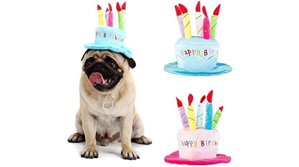 pet themed birthday cake hat