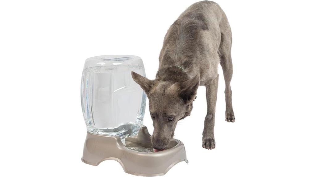 pet water dispenser