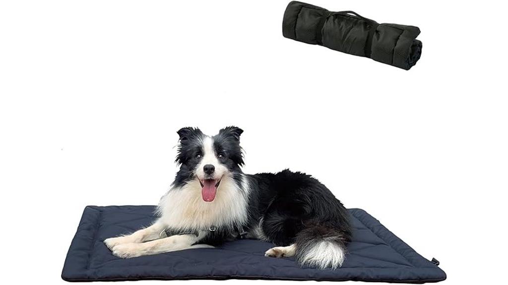 portable camping dog bed