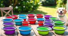 portable dog bowl sets