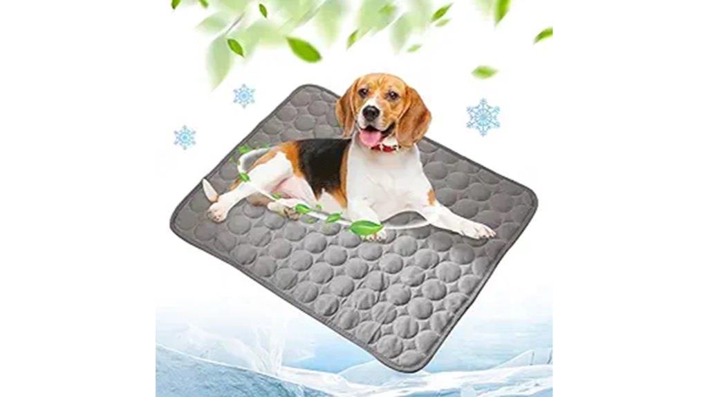 portable grey dog bed