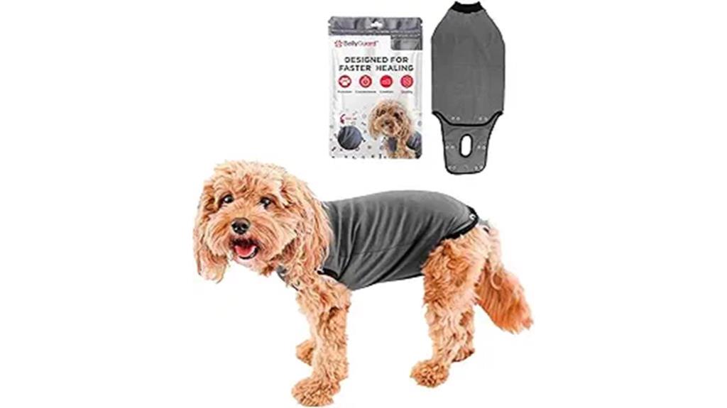 postoperative dog recovery suit