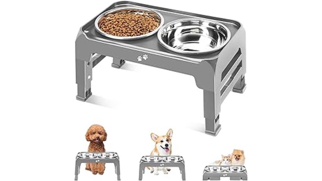 raised bowls for pets