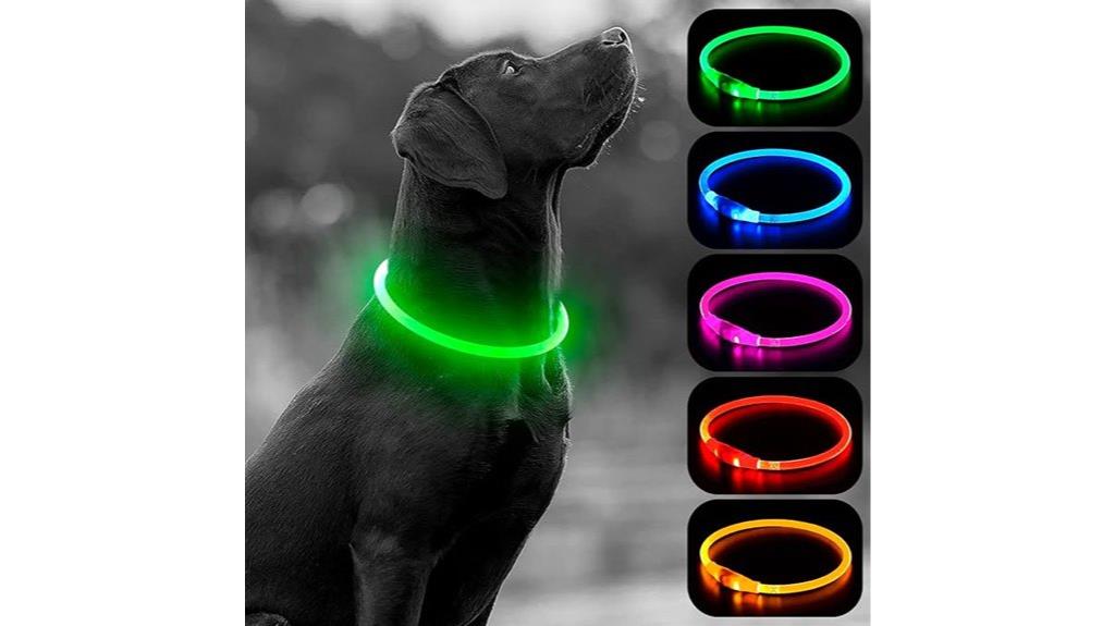 rechargeable high visibility collar