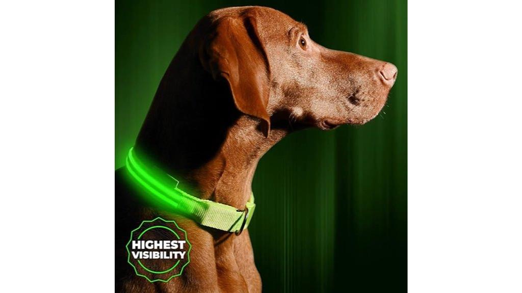 rechargeable led dog collar