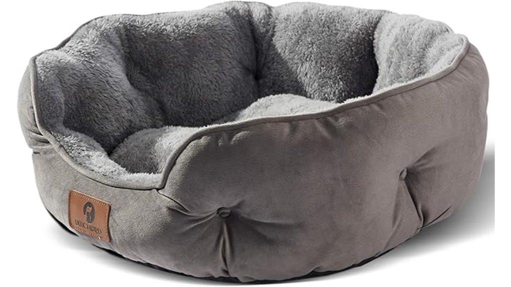 small dog bed