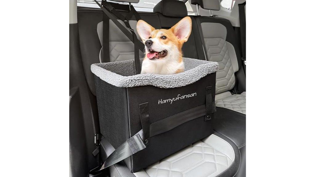 small dog car seat