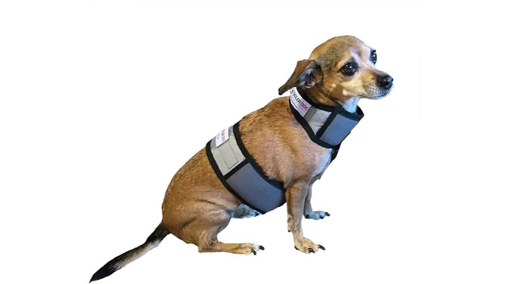 small dog cooling gear