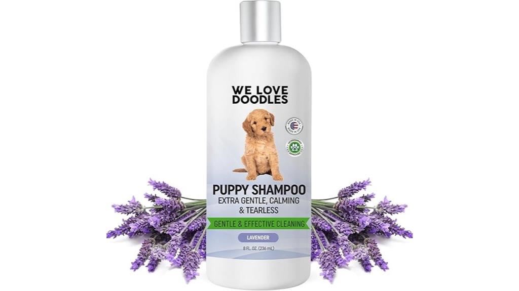 small dog grooming essentials