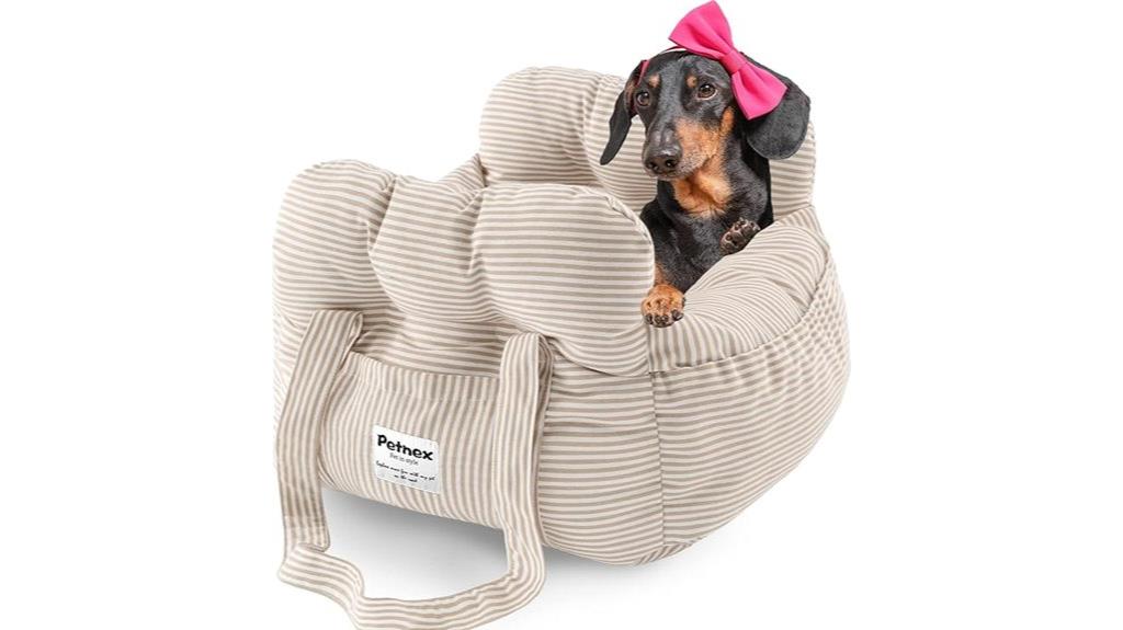 small dog travel safety