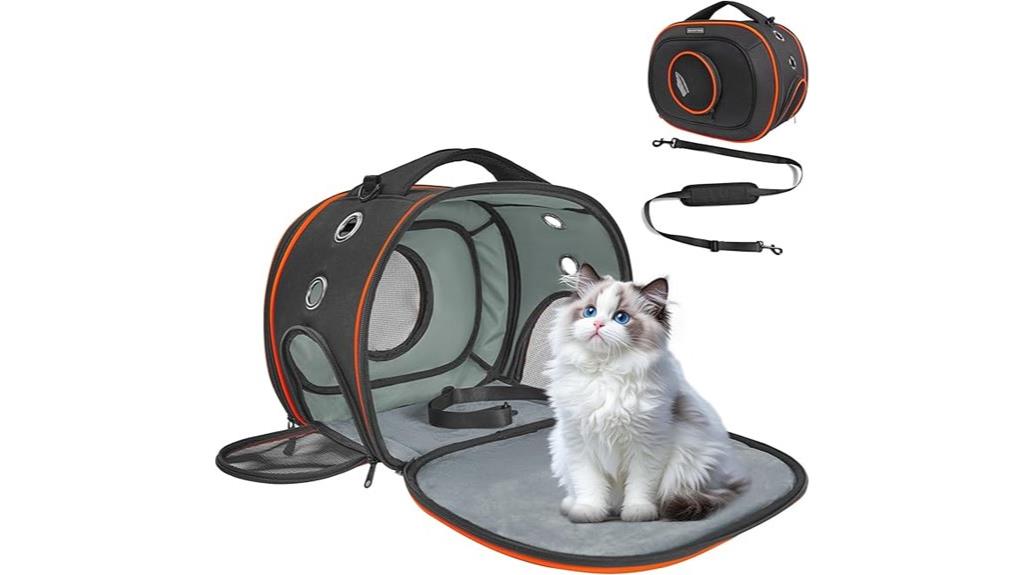 small pet airline carrier
