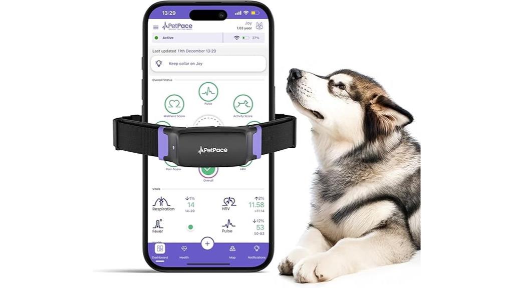 smart dog health tracker