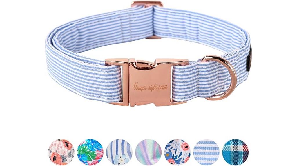 stylish metal buckle collar