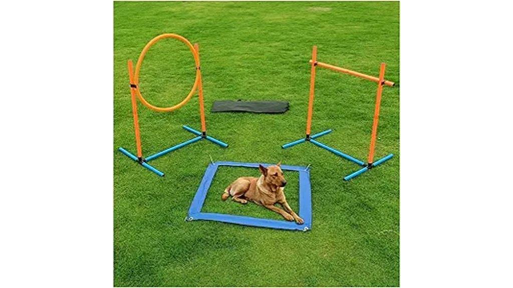 three set dog agility kit