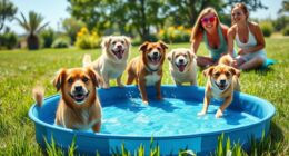 top 12 portable dog pools