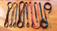 top 15 hands free dog leashes