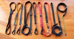 top 15 hands free dog leashes