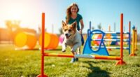 top agility kit picks