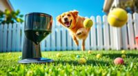 top automatic dog toy options