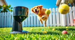 top automatic dog toy options