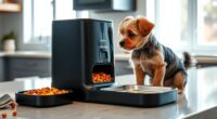 top automatic pet feeders