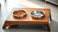 top elevated puppy feeders