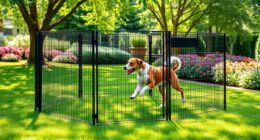 top outdoor pet exercise enclosures
