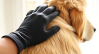 top pet grooming gloves