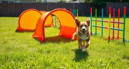 backyard agility course creation