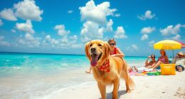 dog friendly beach holiday tips