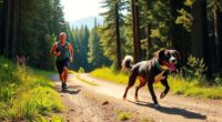 dog friendly trail running safety