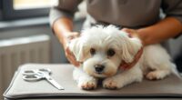 dog grooming training techniques