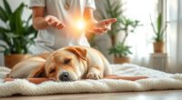 dog reiki energy therapy