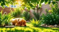 dog safe garden plants