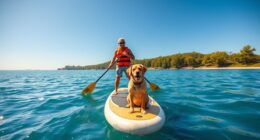 paddleboarding with dogs safely